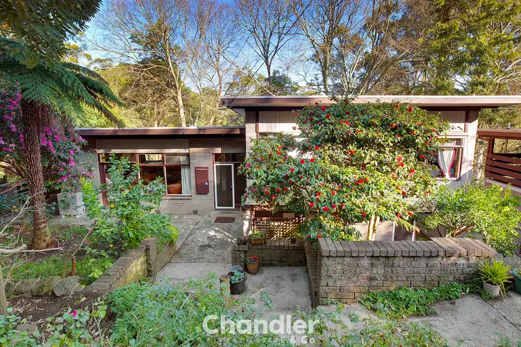 Main view of Homely house listing, 84 Kaola Street, Belgrave VIC 3160