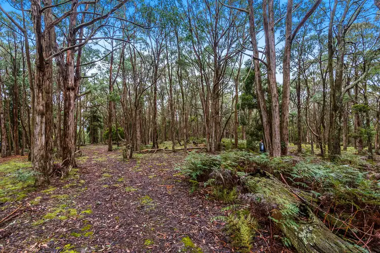 Main view of Homely land listing, LOT 2 Cartons Road, Gordon VIC 3345