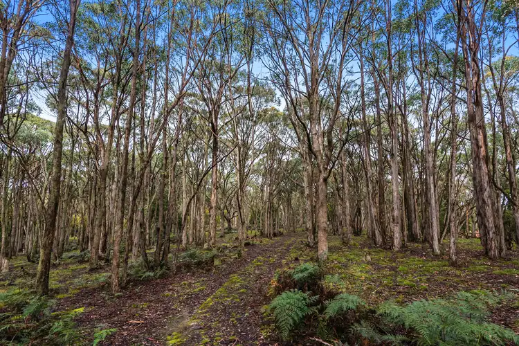 Fifth view of Homely land listing, LOT 2 Cartons Road, Gordon VIC 3345