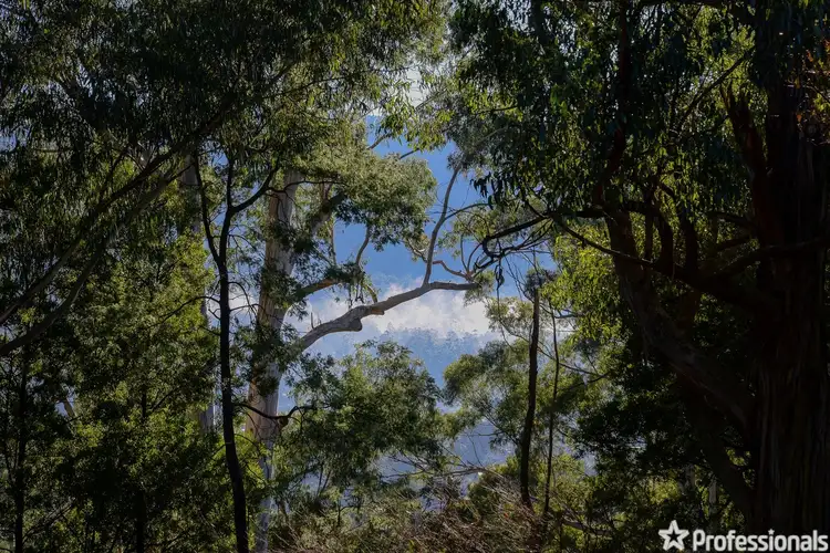 Main view of Homely land listing, 2A Old Warburton Road, Warburton VIC 3799