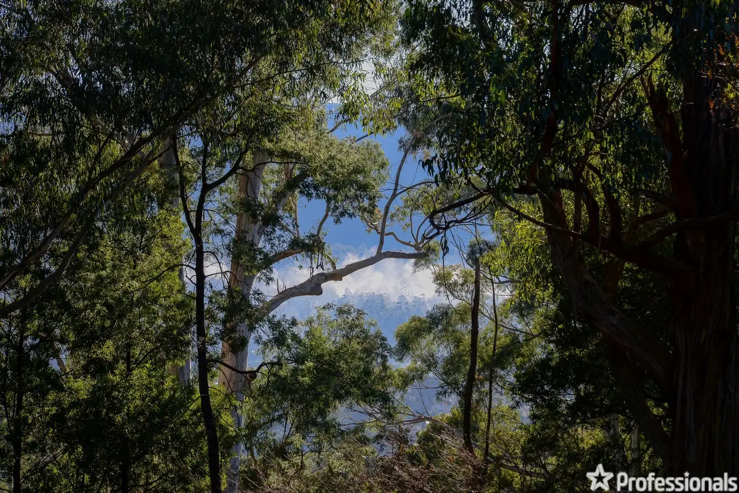 Main view of Homely land listing, 2A Old Warburton Road, Warburton VIC 3799