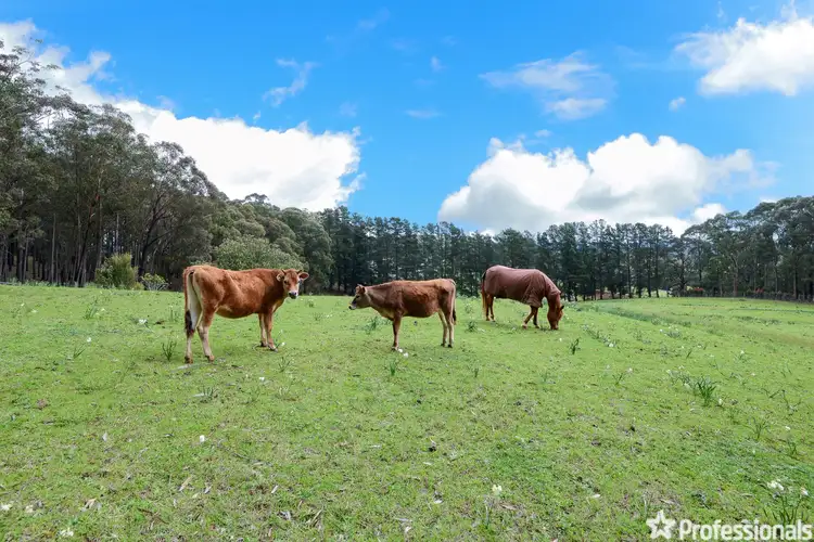 Main view of Homely land listing, 870 Gembrook Road, Hoddles Creek VIC 3139