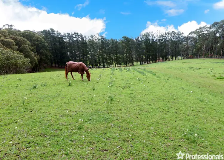 Fifth view of Homely land listing, 870 Gembrook Road, Hoddles Creek VIC 3139