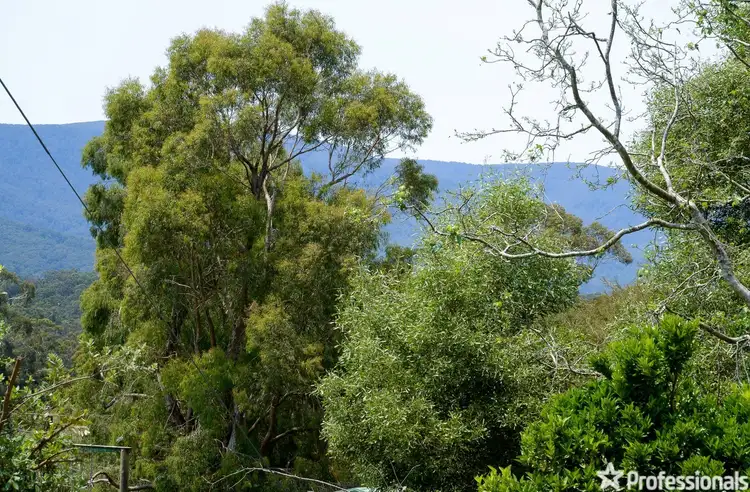 Fourth view of Homely land listing, 3 Sundew Parade, Launching Place VIC 3139