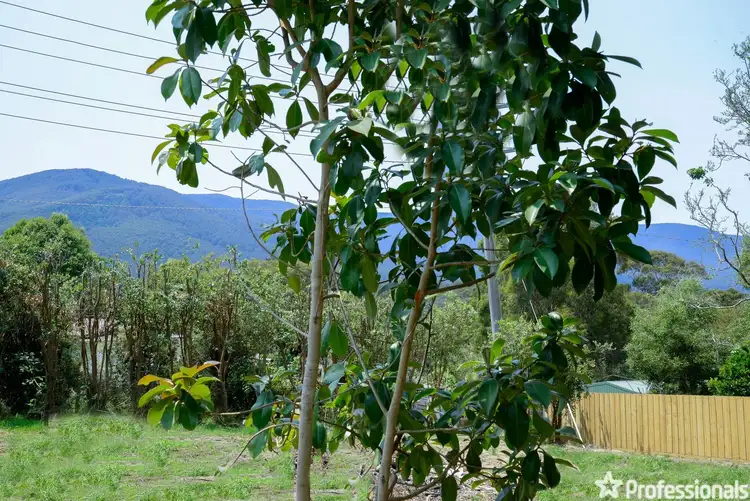 Seventh view of Homely land listing, 3 Sundew Parade, Launching Place VIC 3139
