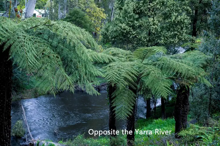 54 Dammans Road, Warburton VIC 3799