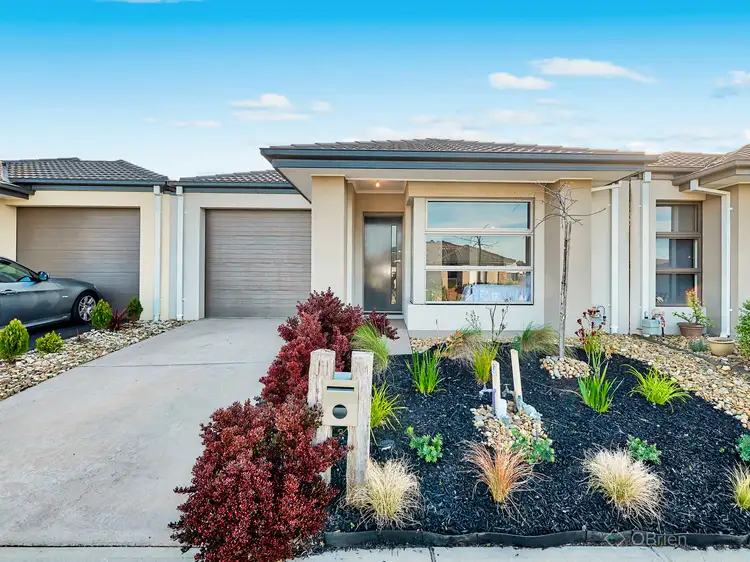 Main view of Homely house listing, 11 Timble Way, Clyde North VIC 3978