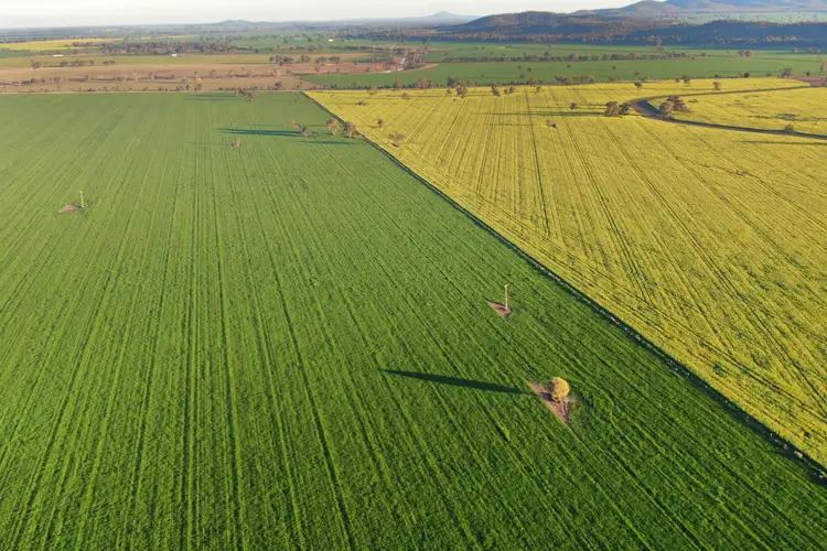 Level Rosedale/989 Marsden Road, Forbes NSW 2871