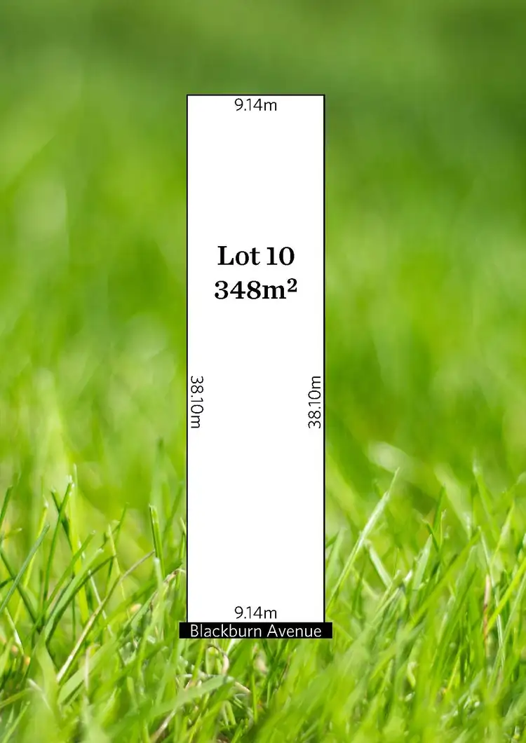 16 Blackburn Avenue, Glenelg North SA 5045