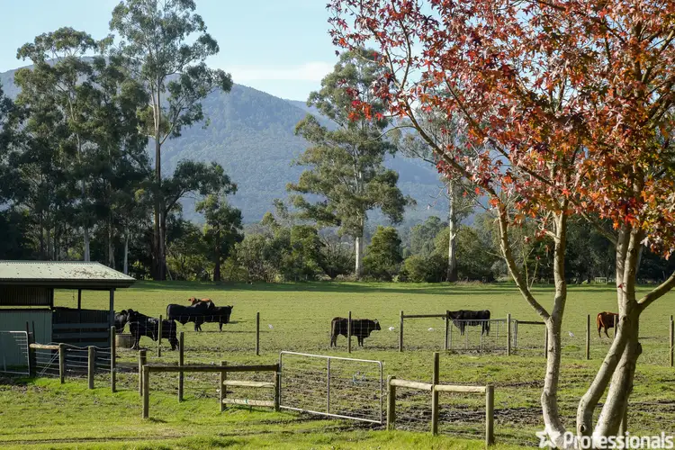 Main view of Homely house listing, 7 Alpine Boulevard, Launching Place VIC 3139