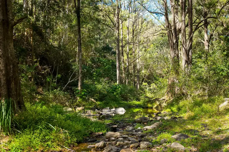 Fourth view of Homely land listing, LOT 125 Rucker Road, Laceys Creek QLD 4521