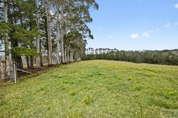 Second view of Homely rural property listing, 3217 Bells Line Of Road, Bilpin NSW 2758