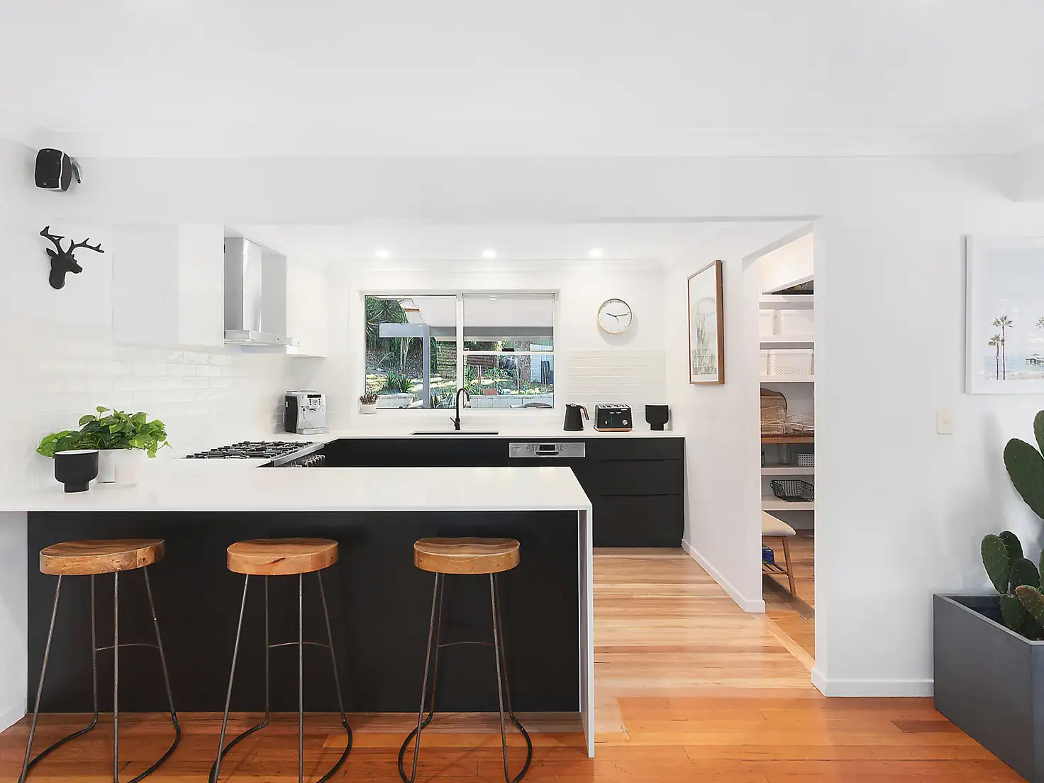 Main view of Homely house listing, 22 Laird Drive, Avoca Beach NSW 2251