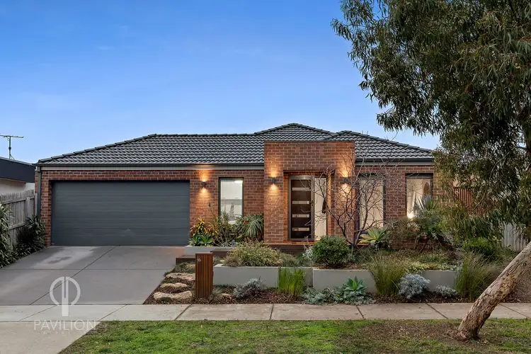 10 Lilly Pilly Mews, Ocean Grove VIC 3226