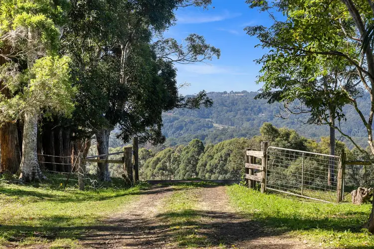 Fourth view of Homely rural property listing, 748 Federal Drive, Federal NSW 2480