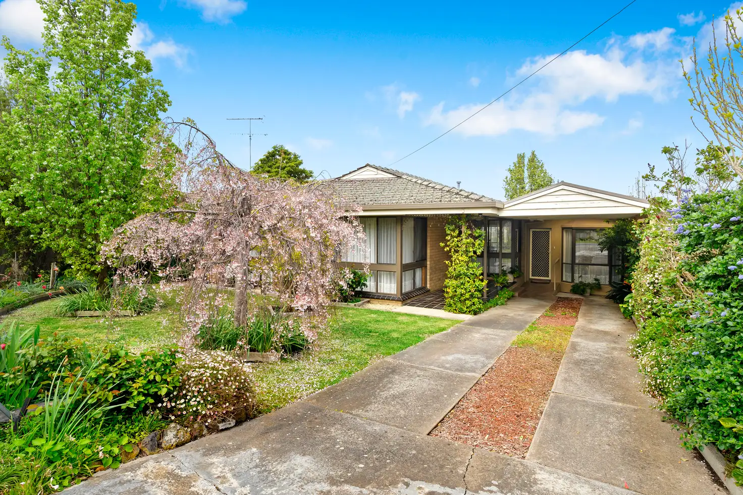 Main view of Homely house listing, 61 Camden Road, Newtown VIC 3220