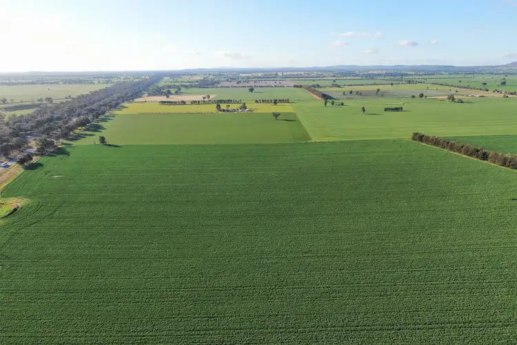 3556 Olympic Highway, Culcairn NSW 2660