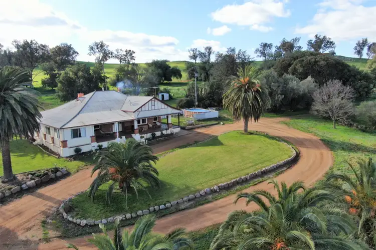 Fifth view of Homely rural property listing, 3556 Olympic Highway, Culcairn NSW 2660