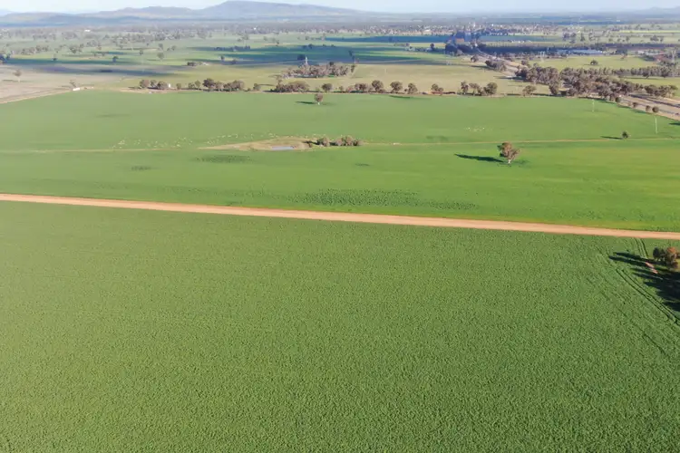 Sixth view of Homely rural property listing, 3556 Olympic Highway, Culcairn NSW 2660