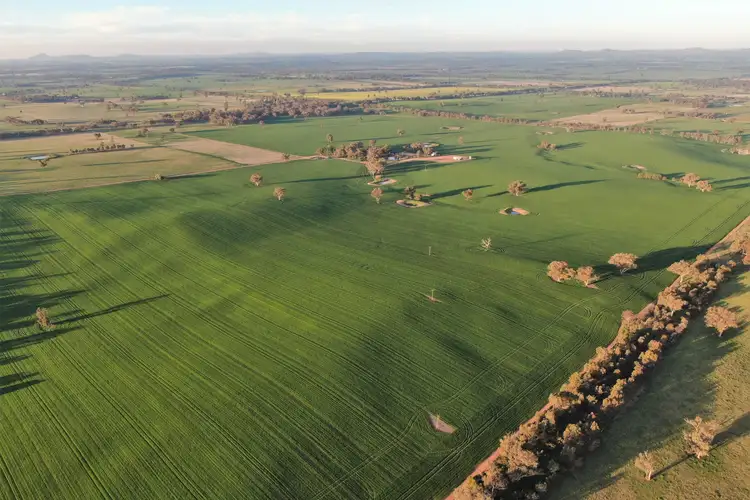 Main view of Homely rural property listing, Kellys Road, Henty NSW 2658