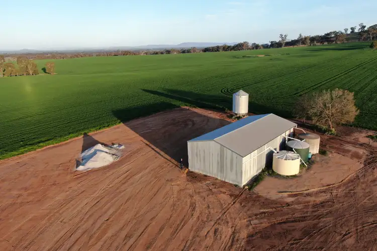Second view of Homely rural property listing, Kellys Road, Henty NSW 2658