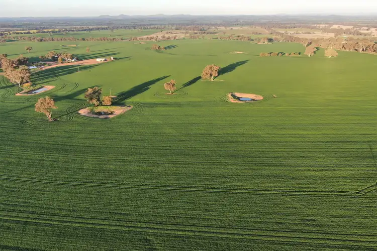 Third view of Homely rural property listing, Kellys Road, Henty NSW 2658