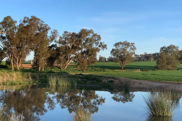 Fourth view of Homely rural property listing, Kellys Road, Henty NSW 2658