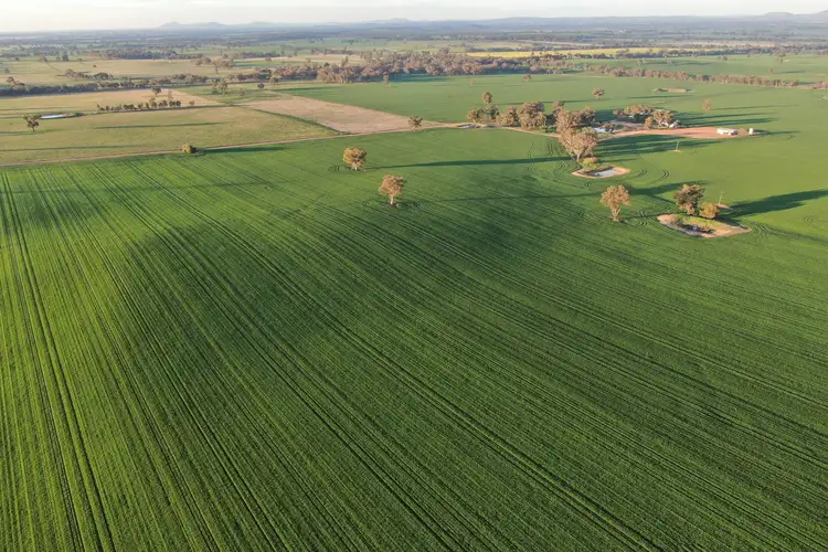 Fifth view of Homely rural property listing, Kellys Road, Henty NSW 2658