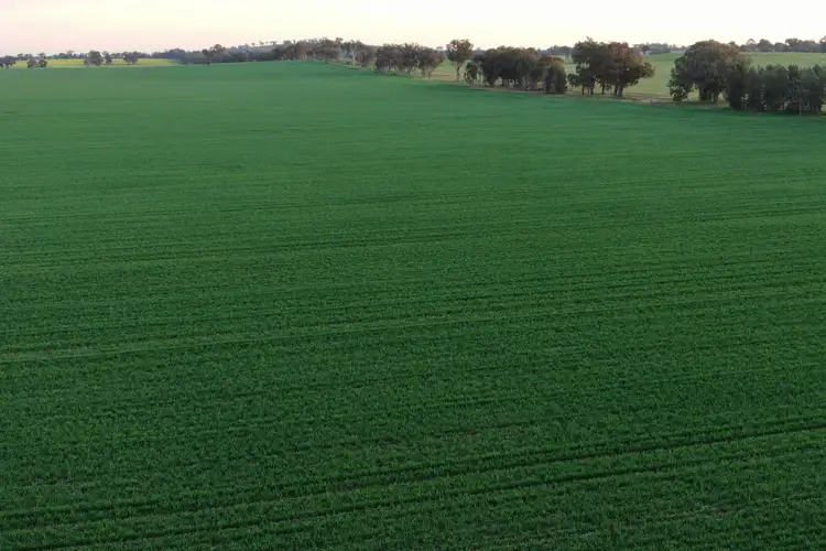 Second view of Homely rural property listing, Klemkes Road, Henty NSW 2658