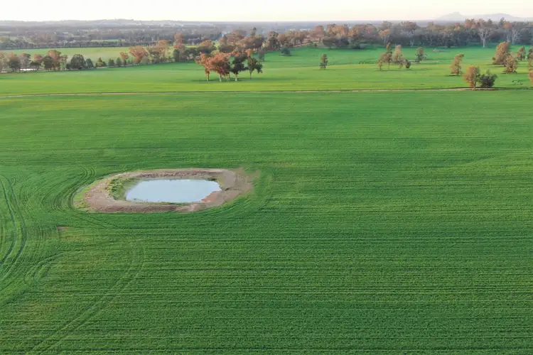 Fourth view of Homely rural property listing, Klemkes Road, Henty NSW 2658