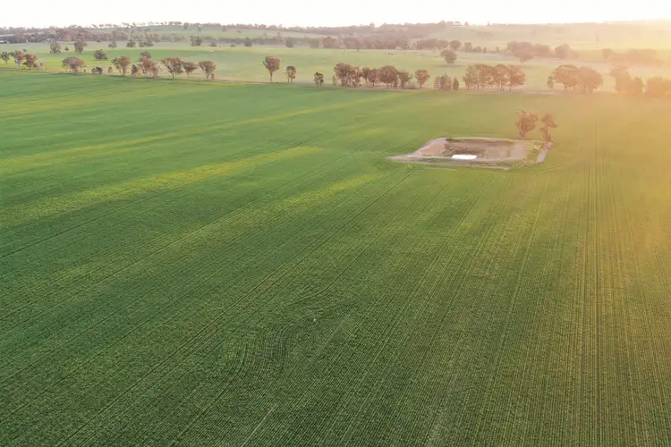 Fifth view of Homely rural property listing, Klemkes Road, Henty NSW 2658