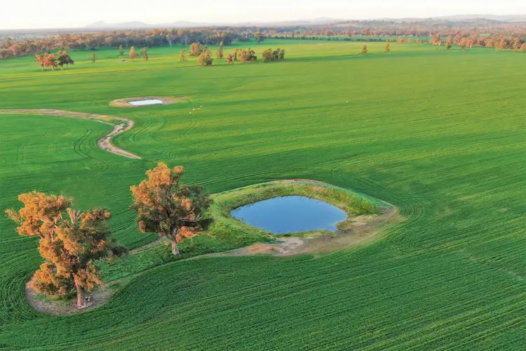 Sixth view of Homely rural property listing, Klemkes Road, Henty NSW 2658