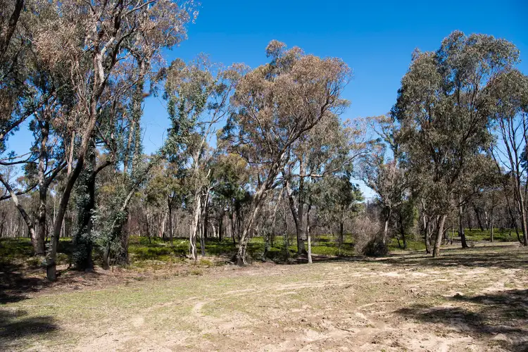 Fourth view of Homely rural property listing, 401 Reedy Creek Road, Rylstone NSW 2849