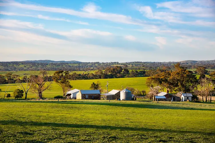 Main view of Homely house listing, 223 Nuggetty Road, Maldon VIC 3463