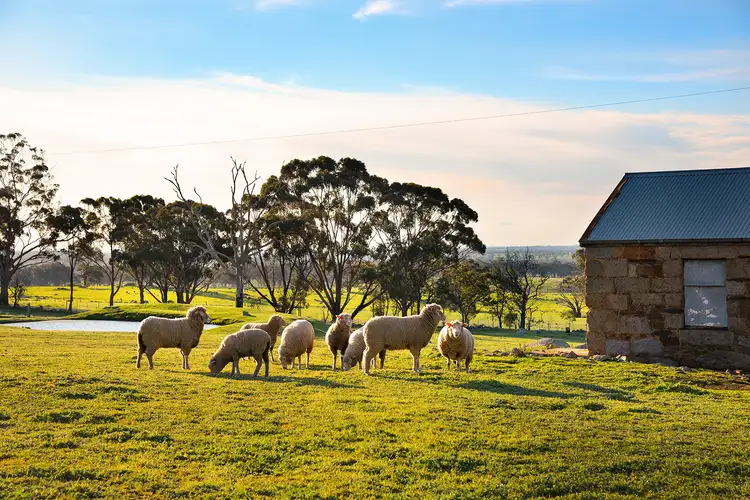 Third view of Homely house listing, 223 Nuggetty Road, Maldon VIC 3463