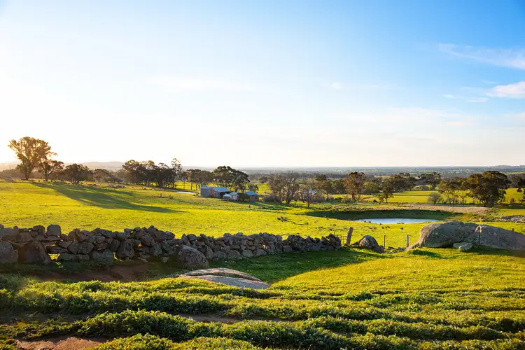 Fourth view of Homely house listing, 223 Nuggetty Road, Maldon VIC 3463