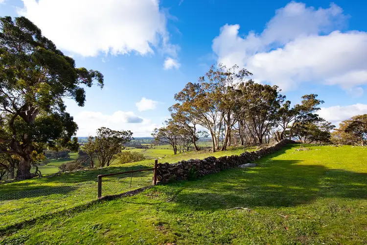Fifth view of Homely house listing, 223 Nuggetty Road, Maldon VIC 3463