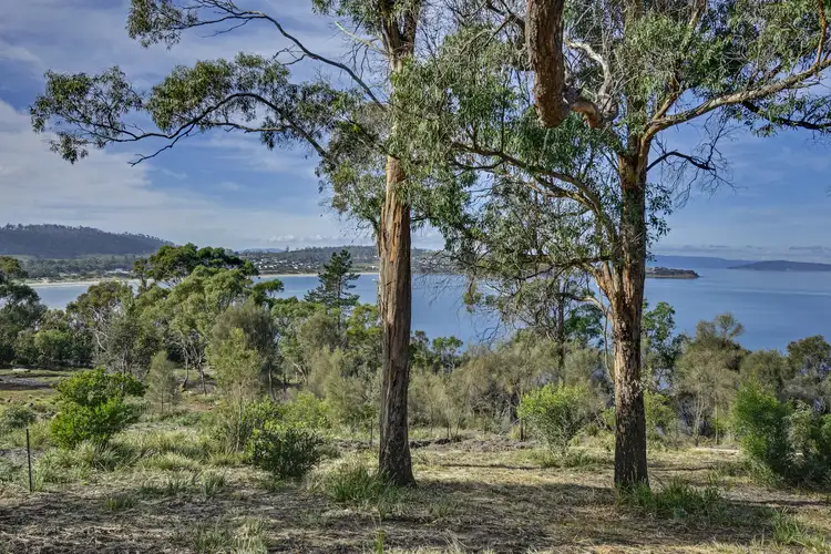 Fifth view of Homely land listing, Lot 1 Tern Circle, Primrose Sands TAS 7173