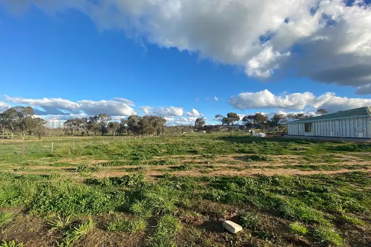 22 Wurth Drive, Mudgee NSW 2850