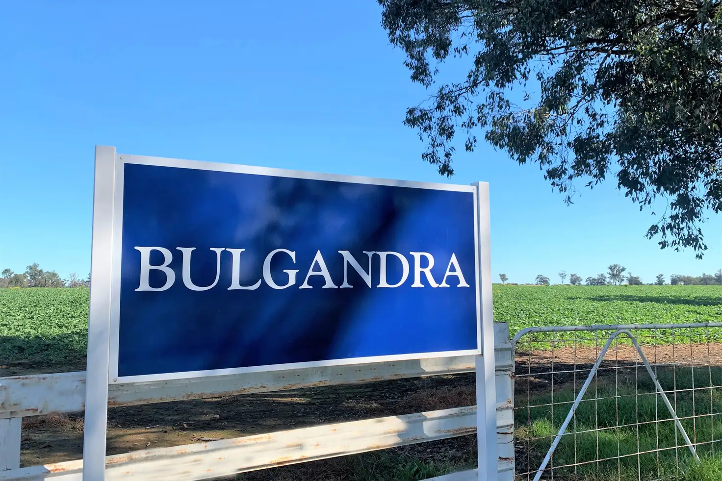 Main view of Homely rural property listing, Back Walbundrie Rand Road, Walbundrie NSW 2642