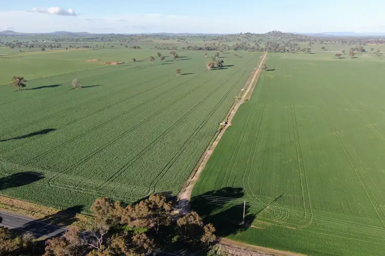 Olympic Highway, Culcairn NSW 2660