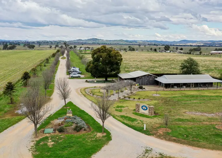 Second view of Homely rural property listing, 245 Bergalin Road, Gulgong NSW 2852