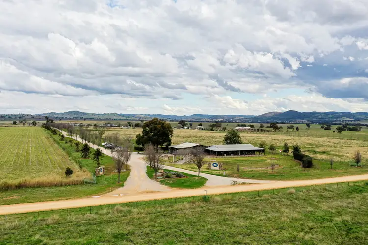 Fifth view of Homely rural property listing, 245 Bergalin Road, Gulgong NSW 2852