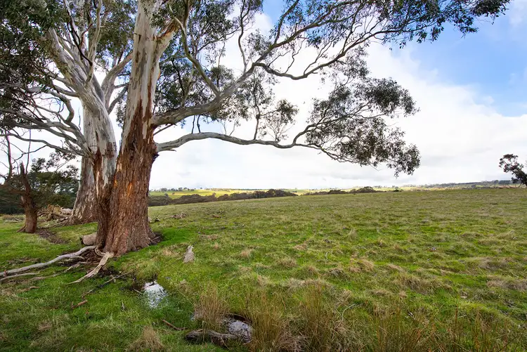 Third view of Homely land listing, LOT 11, 278 Shepherds Hill Road, Lauriston VIC 3444