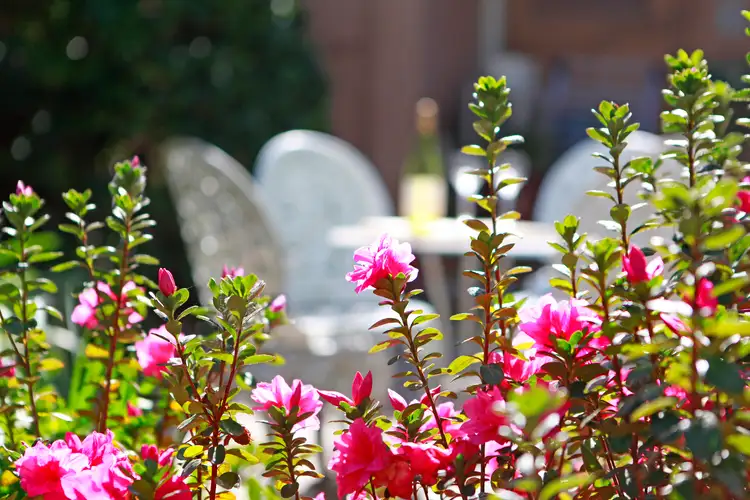 Sixth view of Homely house listing, 4 Barker Street, Lewisham NSW 2049