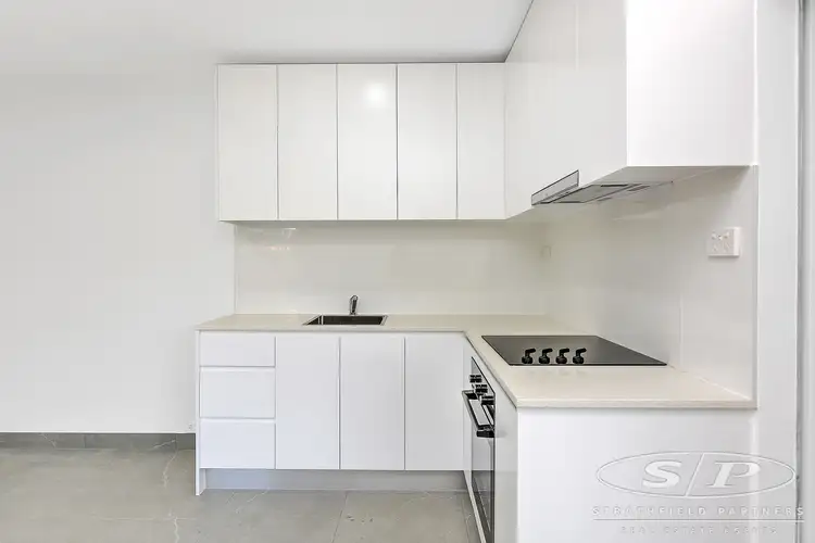 Main view of Homely studio listing, 5a St Peters Street, St Peters NSW 2044