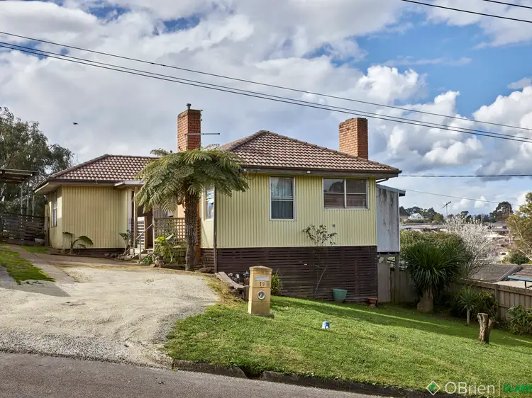 Main view of Homely house listing, 19 Bertram Street, Drouin VIC 3818