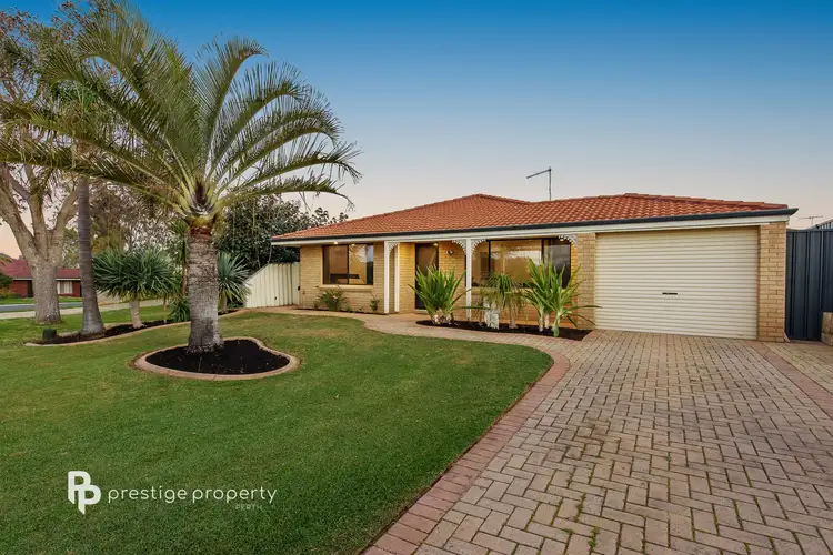 19 Attwood Place, Clarkson WA 6030
