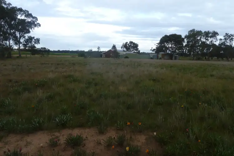 Second view of Homely rural property listing, Lot 30 Gibson Street, Korong Vale VIC 3520