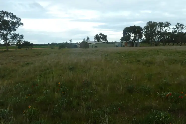 Third view of Homely rural property listing, Lot 30 Gibson Street, Korong Vale VIC 3520